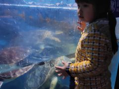 -烟台海昌鲸鲨海洋公园