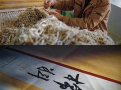 -中国宣纸文化园