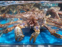 -盒马鲜生(曜一城店)