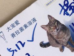-PETKIT小佩宠物(古北店)