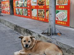 -南门绿玉农贸市场