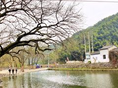 -鹿亭中村