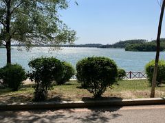 -丁香湖公园
