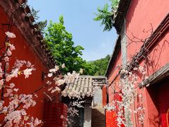 -潭柘寺景区