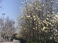 -飞洲国际广场