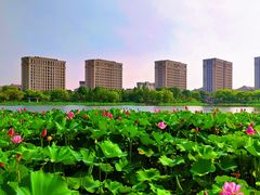 -海天湖公园