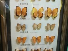 -蝴蝶泉公园