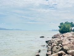 -深圳湾公园(南山区)