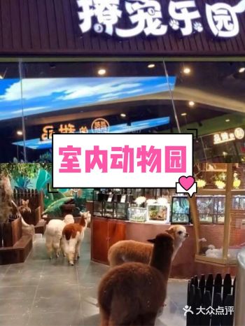 马上就要到六一儿童节了，还在纠结没有好地方带宝宝放电