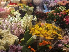 -循礼门鲜花花市(武汉循礼门店)