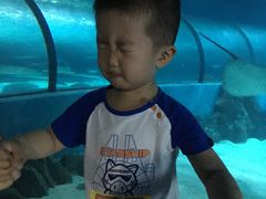 -苏州海洋馆