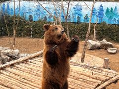 -济南野生动物世界