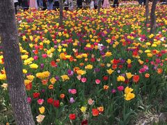 -长春公园(普阳街道)