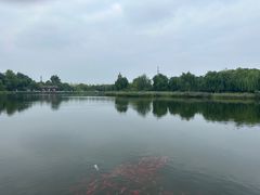 -西海子公园