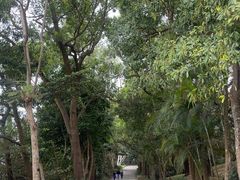-小南山公园