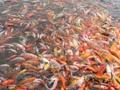 -北戴河圣蓝海洋公园