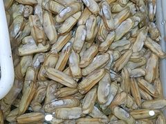 -渔码头食府(蓬莱阁店)