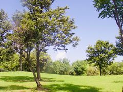 -上海吴淞炮台湾国家湿地公园