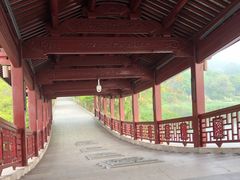 -长广溪湿地公园