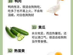 -美联众合动物医院·24h转诊中心