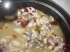 -周渝食惦酸菜鱼(青浦店)