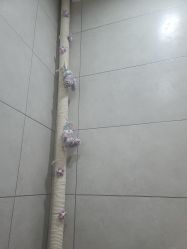 -序言科技美肤中心
