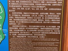 -南诏风情岛