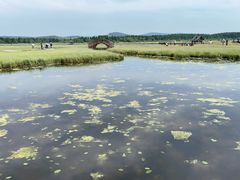 -塞罕坝国家级自然保护区