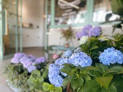 -塔拉苏咖啡(中信丹阳花园店)