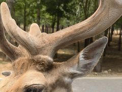 -秦皇岛野生动物园