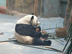 -青藏高原野生动物园