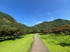 -五泄景区