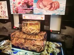 -蟹道乐(道顿堀本店)