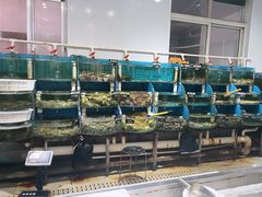 -正亮农家院·海鲜本地菜