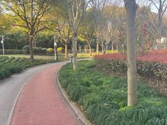 -金杨花园