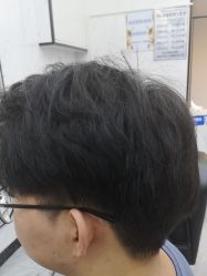 -ML名流·剪发烫发染发