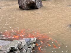 -刘伯温故里景区百丈漈