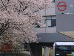 -南浦大桥长途旅游客运站