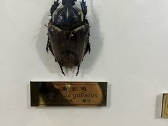 -上海昆虫博物馆