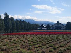 -富田农场