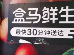 -盒马鲜生(馥邦国际店)