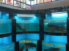 水产区-千岛湖小鱼儿·淳安匠心农家菜