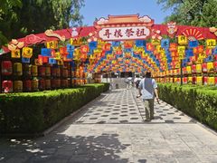 -大槐树寻根祭祖园