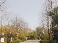 -诸城市恐龙博物馆