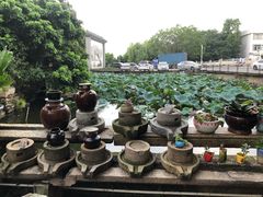 -烟桥私房菜馆(奋哥)