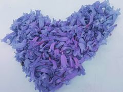 -老昆明网红小吃城(景星恒隆百货店)