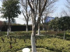 -上海望仙安息园