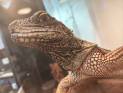 -Zoolung Zoolung动物主题公园(海信广场店)