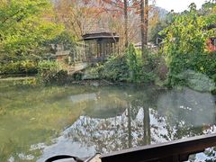 -绿茶餐厅(龙井船宴· 品牌总店)