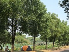 -艾溪湖湿地公园